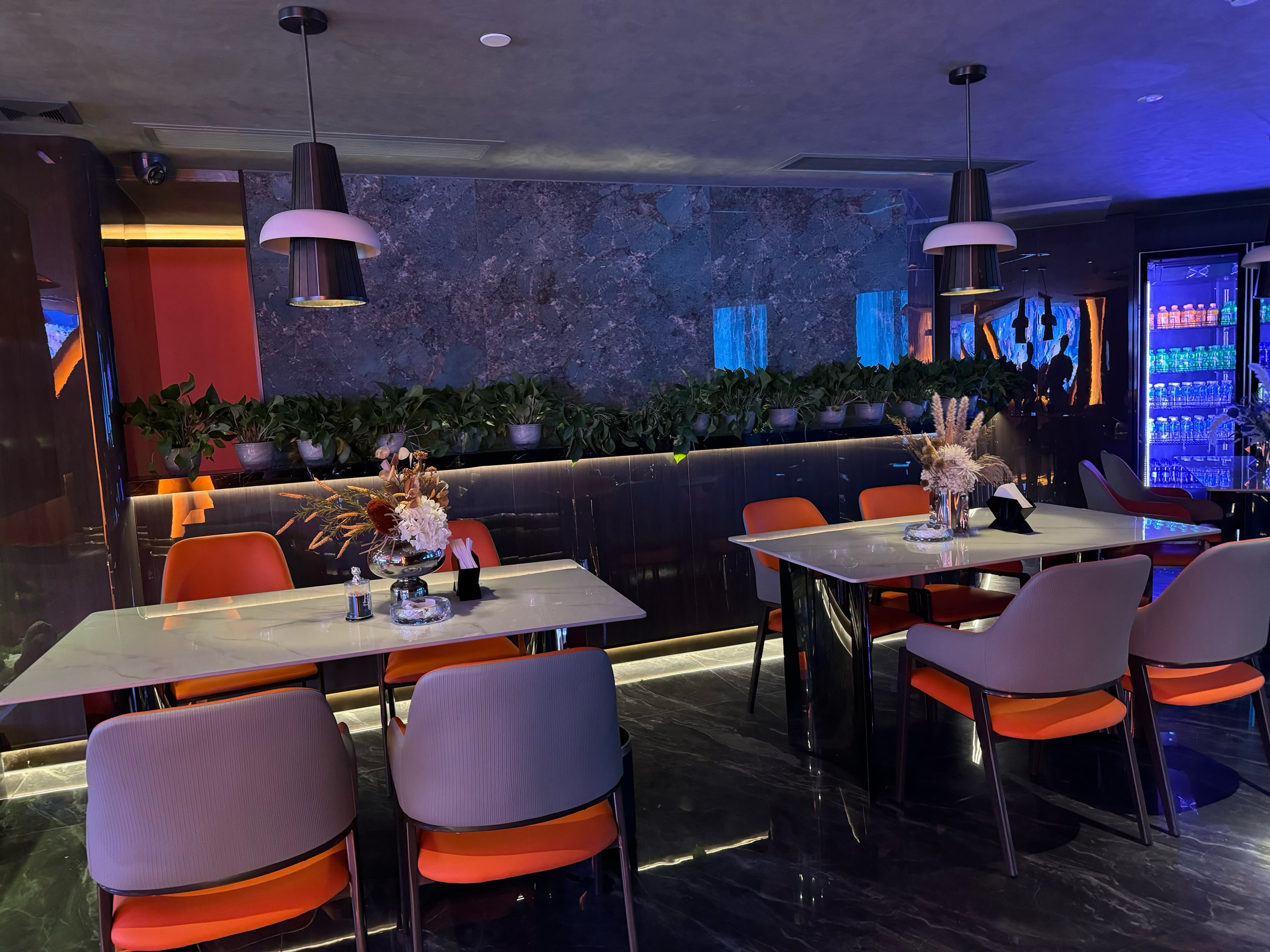 六安商务ktv哪里有优质选择-舒城县ktv预定